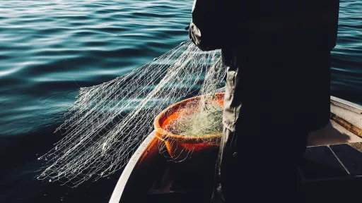 Angler mit Netz